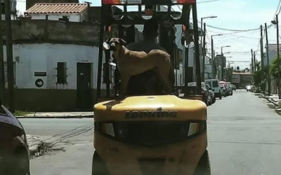 El Conurbano como chivo expiatorio