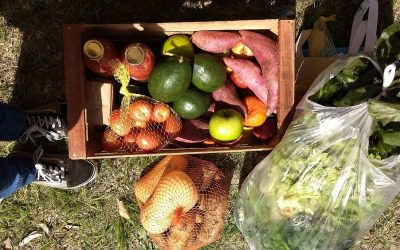 Productos agroecológicos: otra forma de economía es posible