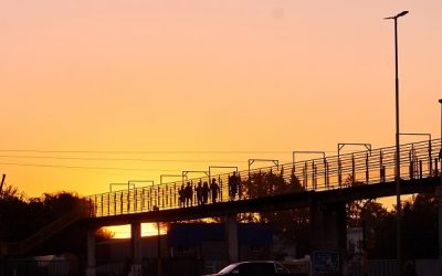 Los días grises y la resistencia obstinada
