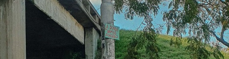 2025 problemático y febril