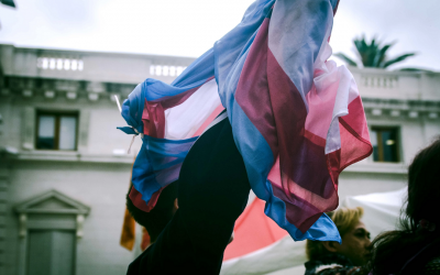 Cupo laboral trans: ¿qué tanto te puede cambiar la vida por laburar en el Estado?